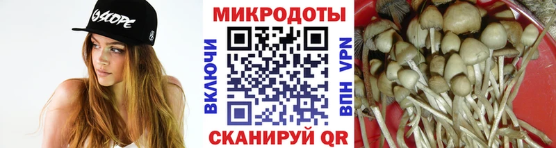 Псилоцибиновые грибы MAGIC MUSHROOMS darknet формула Братск