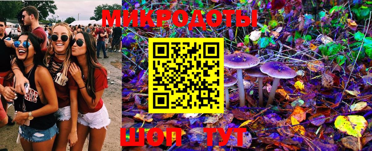 Галлюциногенные грибы GOLDEN TEACHER  Вход с VPN  Братск  Галлюциногенные грибы Cubensis 