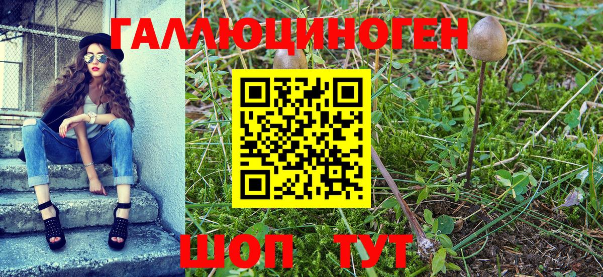 Галлюциногенные грибы Magic Shrooms Братск