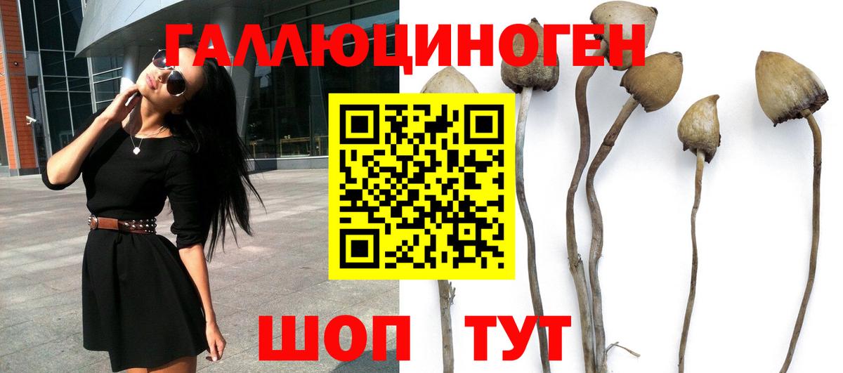 Галлюциногенные грибы GOLDEN TEACHER  Братск 